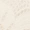 Beige granit