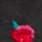 Gestickte Blume Rot