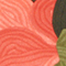 Blume Azalee Grün Rosa