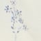 Blaue Blume